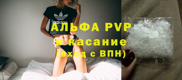ПСИЛОЦИБИНОВЫЕ ГРИБЫ Богданович