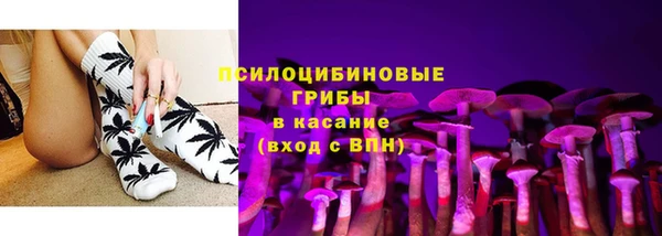бошки Бородино