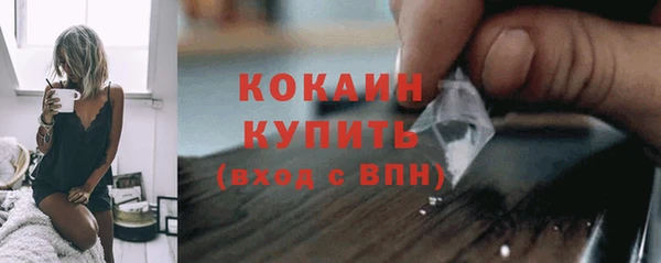 ПСИЛОЦИБИНОВЫЕ ГРИБЫ Богданович