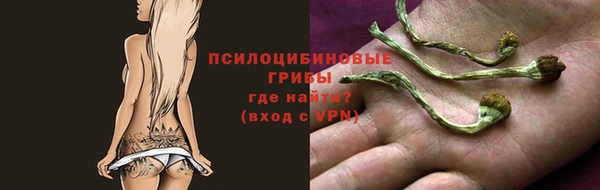 соль курить ск Богородск