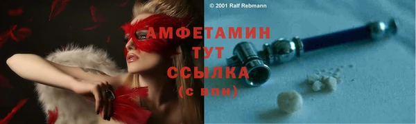 ПСИЛОЦИБИНОВЫЕ ГРИБЫ Богданович
