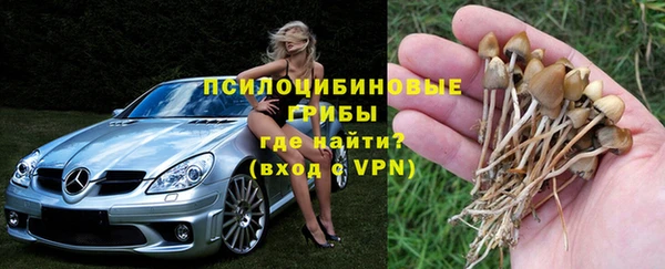 первитин Богородицк